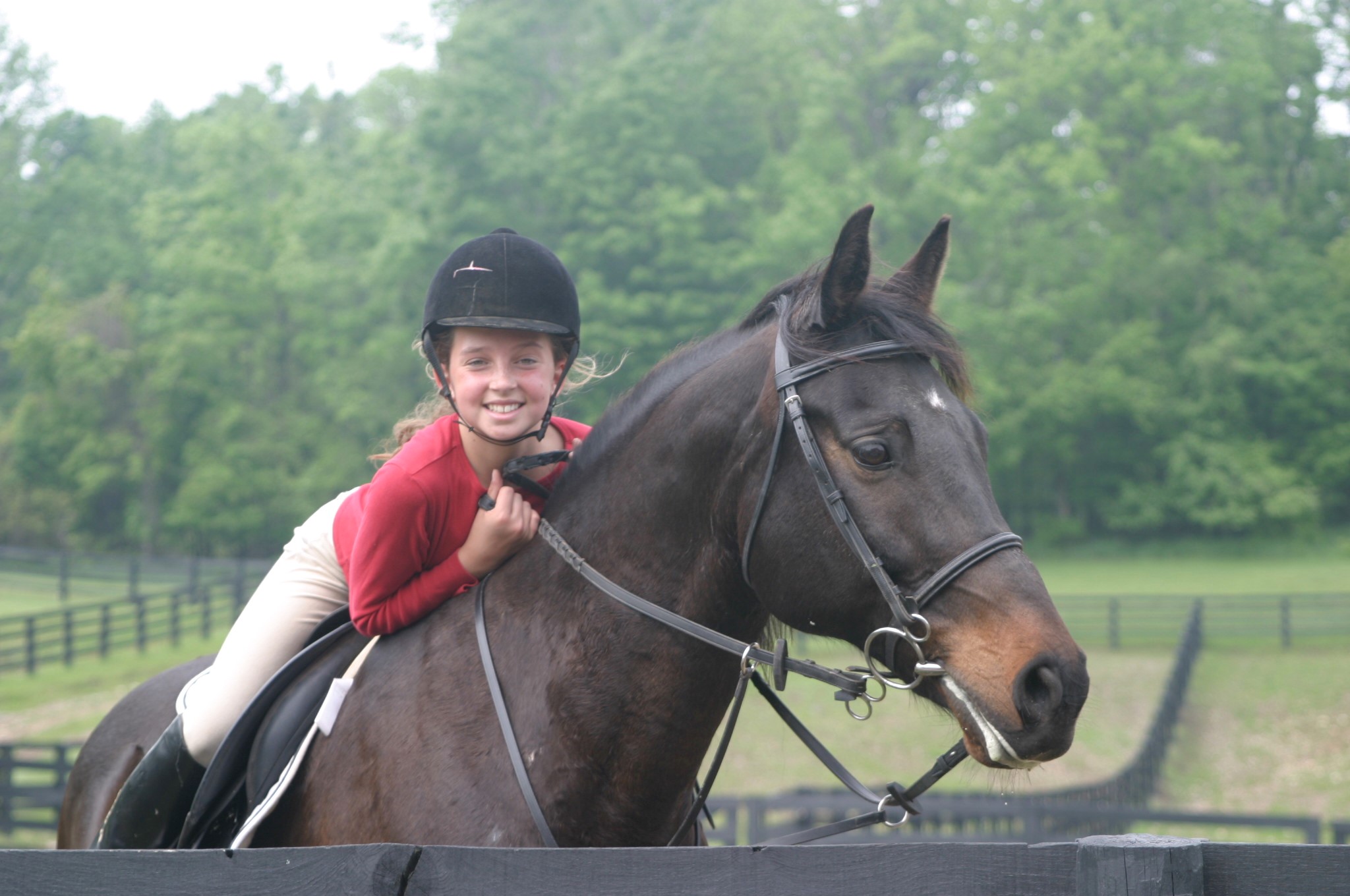 Metamora couple creates fund to support youth equestrian sports