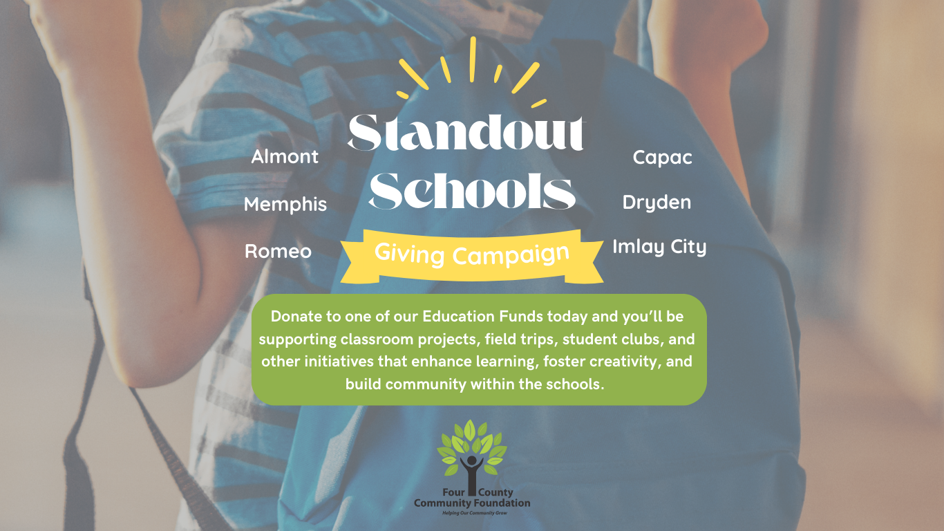 Standout Schools campaign (Website)